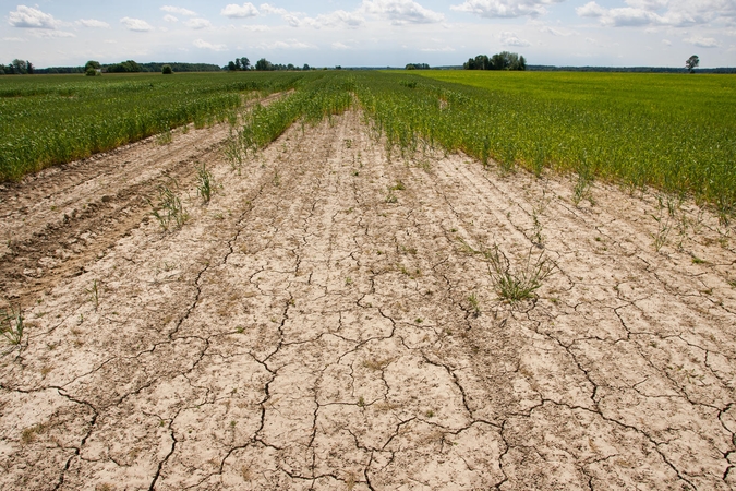 Aptars opiausias karštų orų problemas