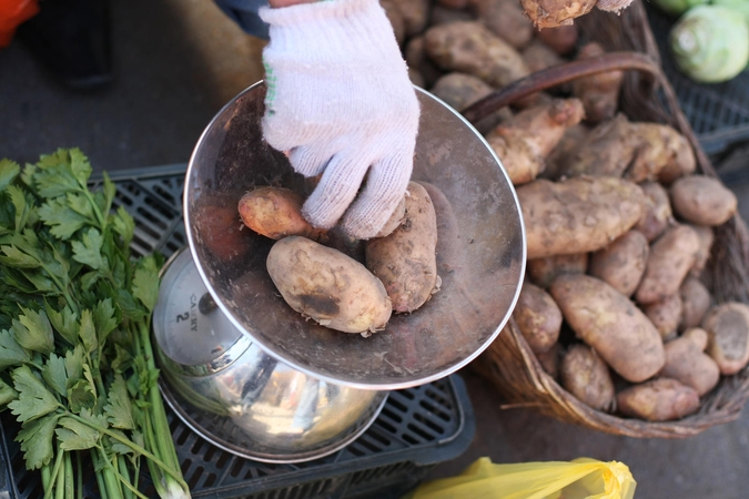 Kada pigs lietuviškos bulvės?