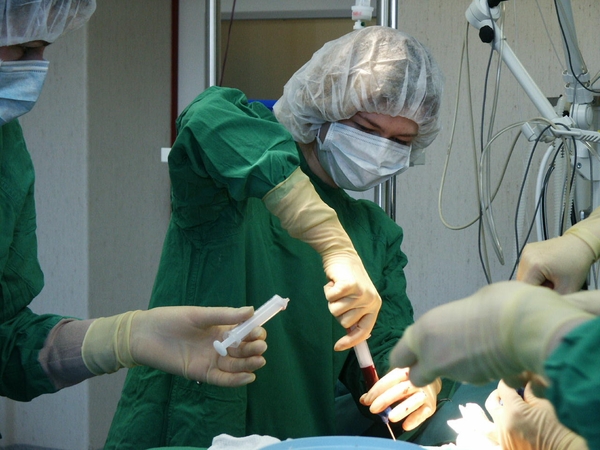 Vaikų onkologė: nauja kaulų čiulpų transplantavimo tvarka – didelis žingsnis atgal
