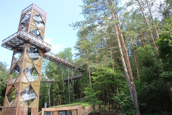 Anykščių medžių lajų takas