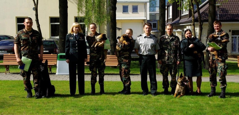 Pasieniečių tarnybinių keturkojų būrį papildė šeši aviganiai