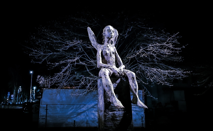 A. Verygos fotografijų parodoje – ramybės paieškos