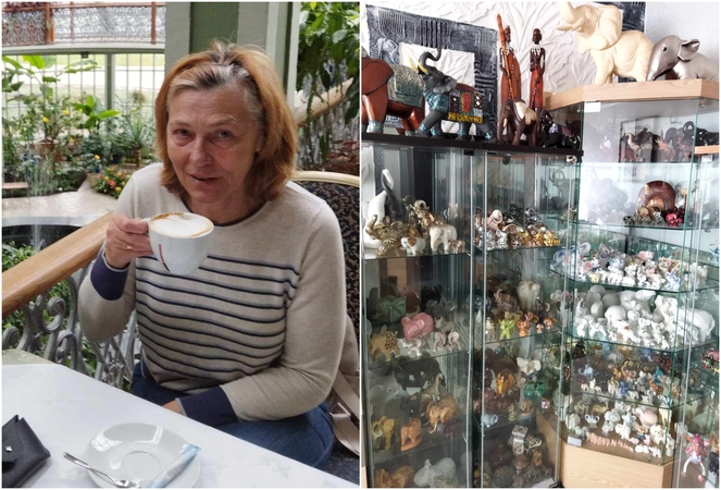L. Miežetienė atgaivos randa Kretingos dvaro sodybos grafų Tiškevičių rūmų žiemos sode-oranžerijoje, tačiau labiausiai ją džiugina drambliukų kolekcija