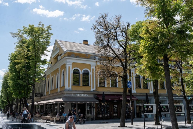 Plika: prie fontano viena liepa visai be lapų.