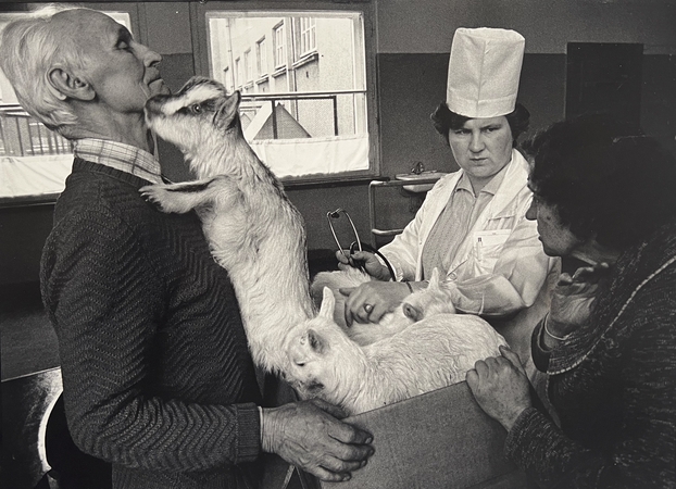 Kauno veterinarijos klinikose, 1989 m.