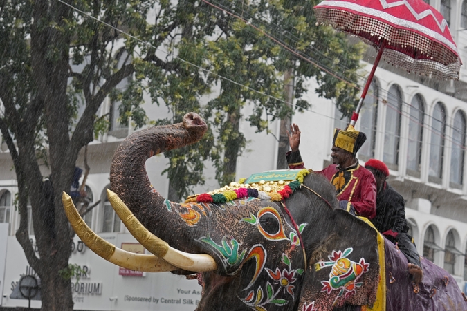 Tradicijos: buvusioje Maisoro karalystėje, Pietų Indijoje, Daseros šventės proga vyksta tradicinė dramblių eisena, sutraukianti minias žmonių.