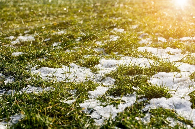 Anksti: nereikėtų skubėti tvarkyti vejos – žolė dar miega.