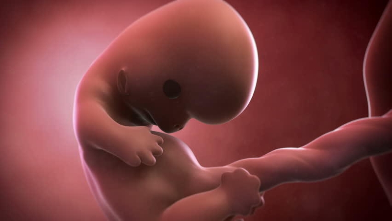 Naujas tyrimas jau nuo 8 nėštumo savaitės nustatys apsigimimo riziką