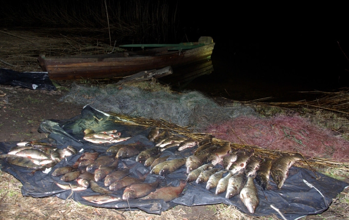 Niekaip nepasimoko: aplinkosaugininkams jau septintą kartą įkliuvo brakonierius