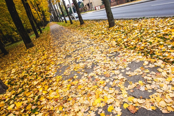 Sekmadienio oras – nuo šalnų naktį iki 17 laipsnių šilumos dieną
