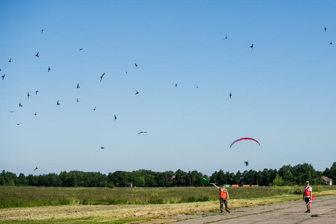 Kaune varžosi motorizuotų parasparnių pilotai
