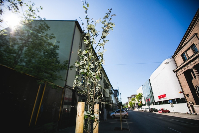 Liepaitėms – išbandymas šalčiu