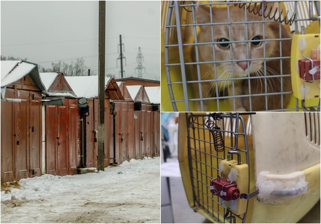 Garažų masyve, kurį krėtė 9-metės ieškoję pareigūnai, rasti gyvūnai: laikymo dėžės – įtartinos