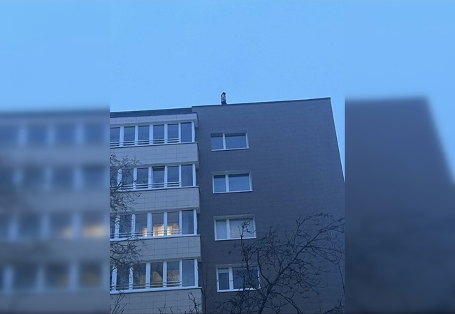 Nerimas: klaipėdietė socialiniame tinkle paskelbė įrašą, kuriame matyti, kaip paaugliai vaikšto devynaukščio stogu.