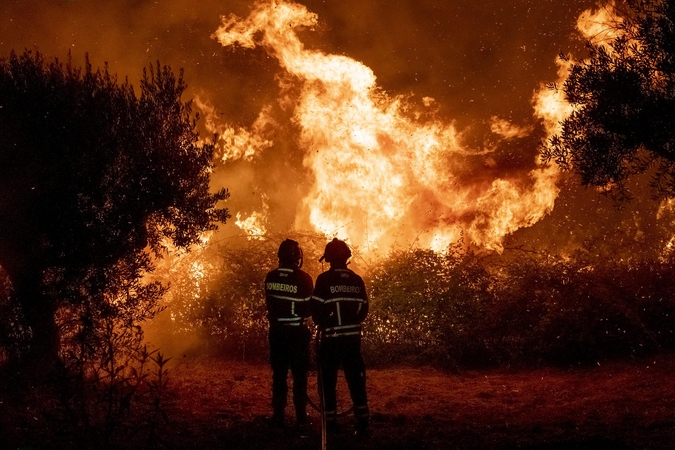 Portugalijoje per miško gaisrą sužeistas 31 žmogus