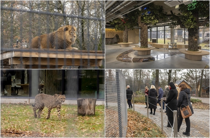 Lietuvos zoologijos sodas – vėl atviras: laukia nauji gyvūnai ir neatpažįstamai pasikeitusios erdvės