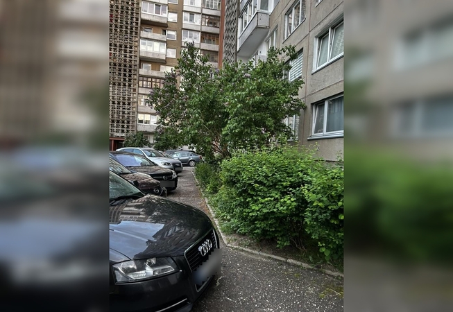 Nepatogu: Vingio g. 11 gyvenantys klaipėdiečiai neturi šaligatvio, čia jo vietą užima automobiliai.