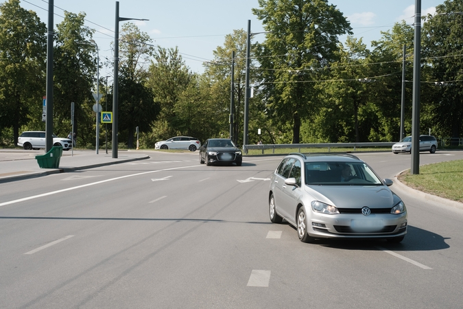 Kačių paroda: nuo sunkiasvorių milžinų iki lašišas žvejojančių laukinukų