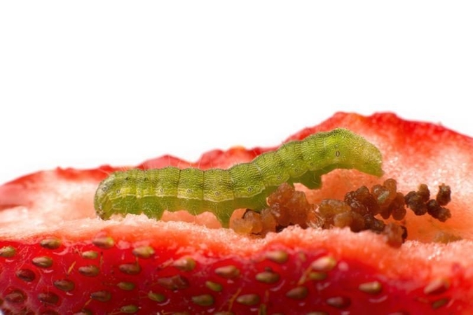 Asociatyvi nuotr.