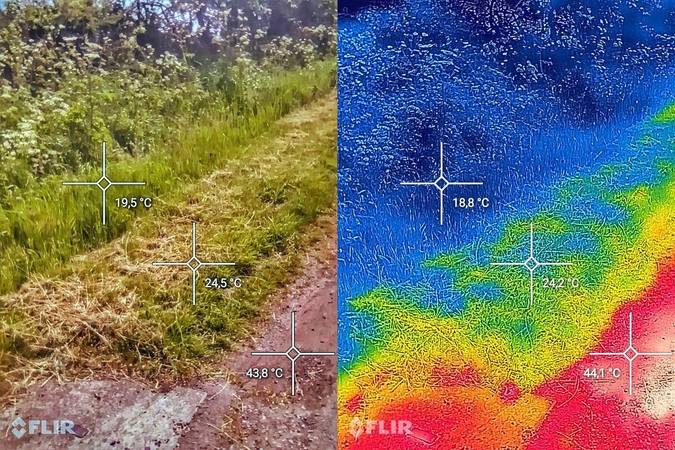 Pasidalijo vaizdu, kuris paaiškina, kodėl kai kuriose miestų vietose žolės geriau nepjauti