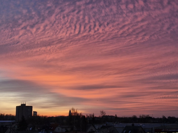 Meteorologai – apie išskirtinius metus Lietuvoje