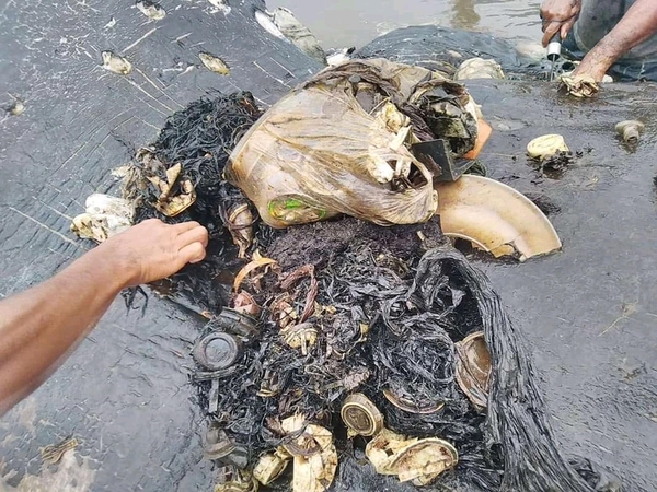 Banginio skrandyje rasta 115 plastikinių puodelių ir net paplūdimio šlepečių