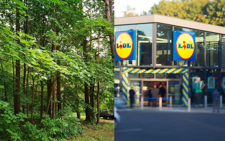 „Lidl“ parduotuvė kursto aistras: gyventojai nemato prasmės iškirsti tiek medžių