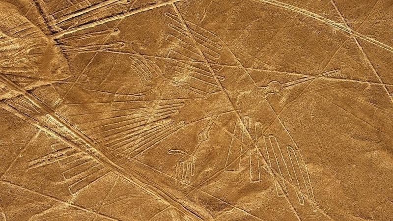 Peru sunkvežimis apgadino senovinius Naskos piešinius