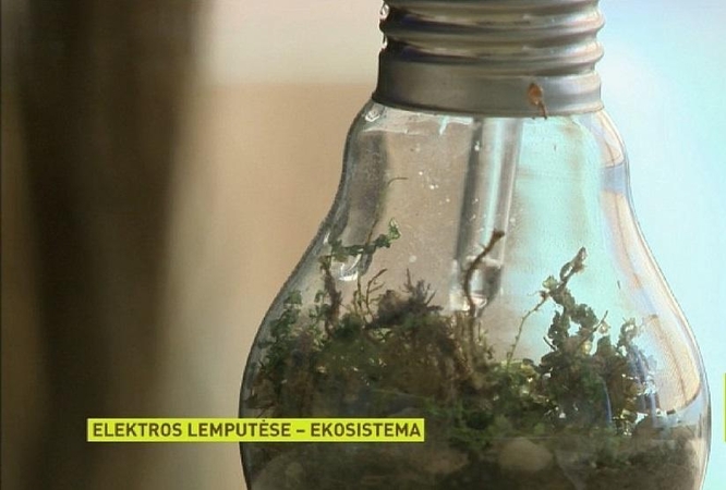 Neįprastas moksleivės ekoprojektas – lemputėje įkurdina sliekus
