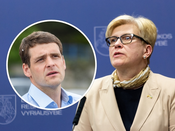 Remigijus Žemaitaitis ir Ingrida Šimonytė
