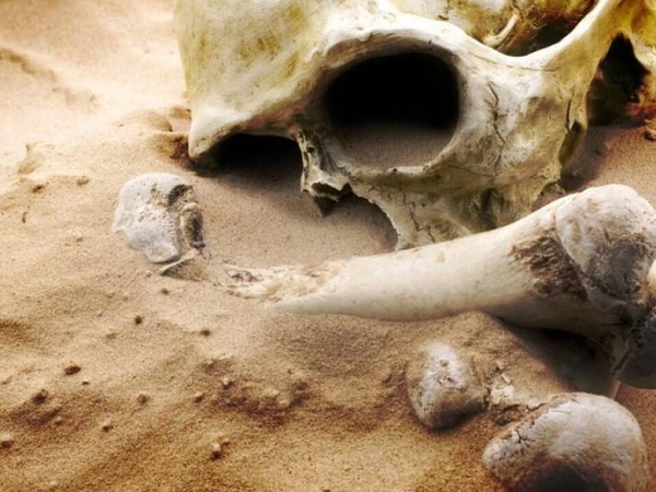 Kaune – šiurpus radinys