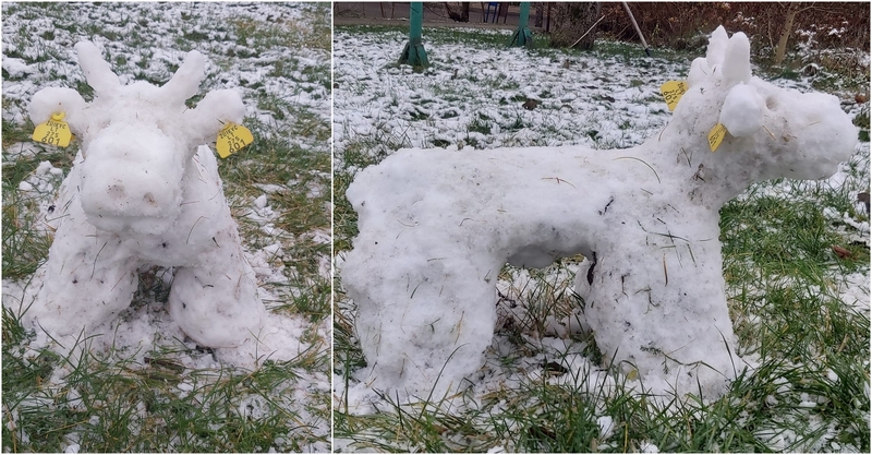 Faktai apie gruodžio orus