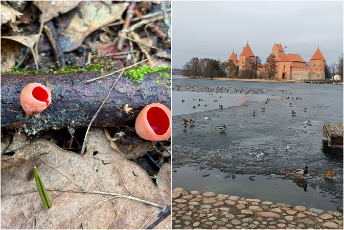 Meteorologas: verta pagalvoti apie laisvadienio pasiėmimą 