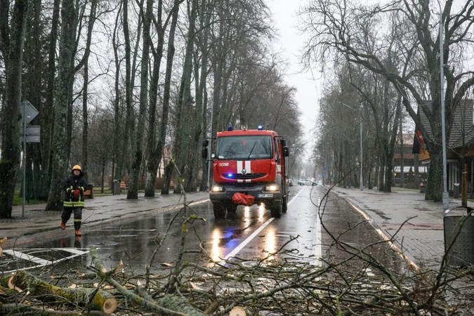 Perspėja: pūs labai stiprus vėjas