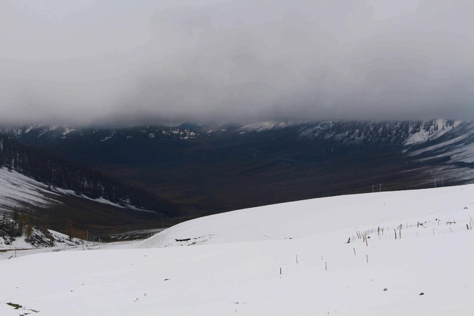 Nuslinkus lavinai žuvo 10 alpinistų