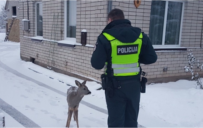 Policijos pareigūnai gelbėjo ir pasiklydusį stirniuką, ir sužalotą šunį