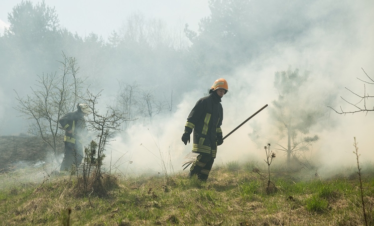 Per karines pratybas Jonavos rajone užsidegė žolė