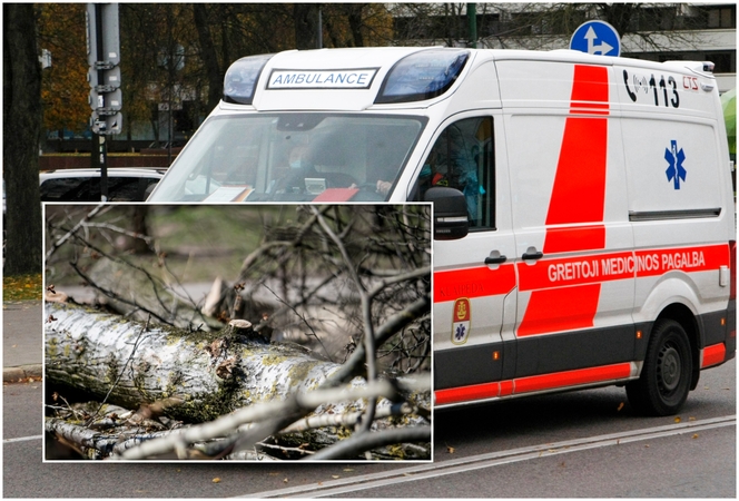 Skaudi nelaimė Nidoje: šakų smulkintuvas įtraukė moters ranką