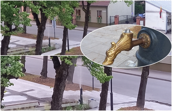 Gertuvę Ferdinando aikštėje pavertė fontanu