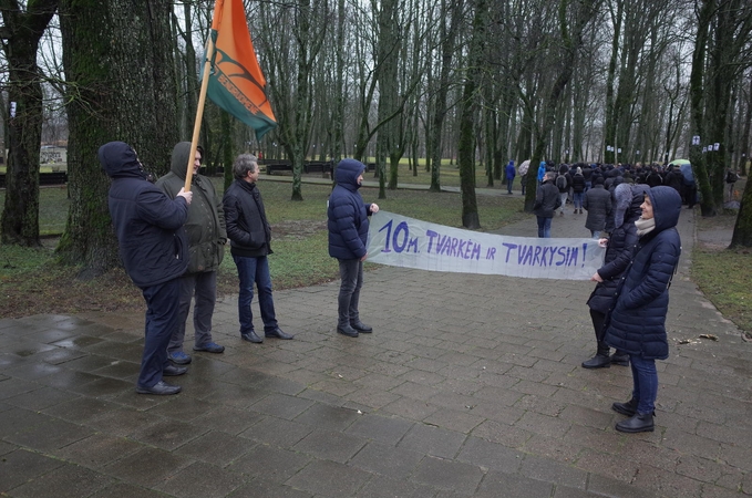 Aistros Gargžduose: dėl kertamų medžių piketo – tyrimas