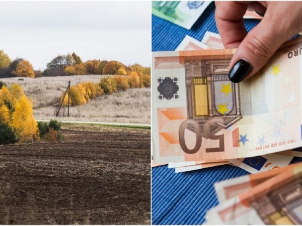 Kauniečiai šiais metais turėtų sumokėti apie 5,4 mln. eurų žemės mokesčio