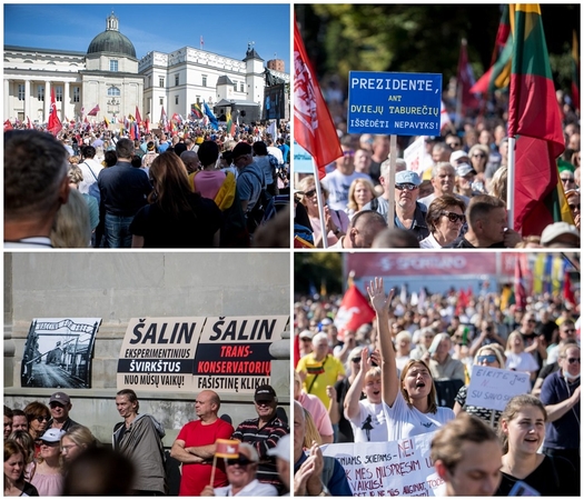 Ekspertų nuomone, mitingas aikštėje sukėlė tik daug bereikalingo triukšmo: Šeimų sąjūdis išsikvepia?