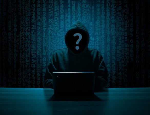 Sukčiai internete apgavo šakiškį: pasisavino kompiuterį, o pinigų nesumokėjo
