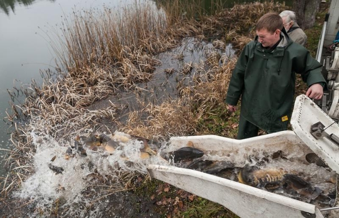 Pavasarį vandens telkiniai pasipildys 580 tūkst. žuvų