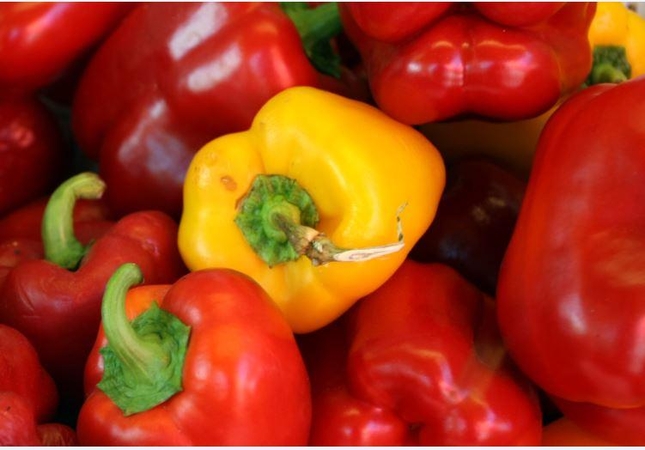 Vasaros derlius žiemai: receptai su paprika