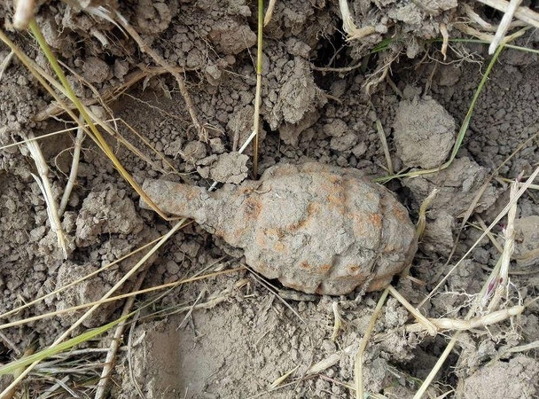 Šakių rajone aptikta pavojinga karo laikų granata