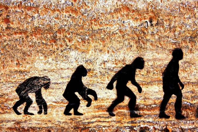 Kodėl homo sapiens genitalijos tokios didelės?