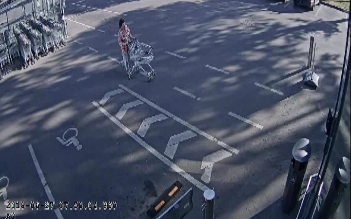 Alytaus prekybos centre dingo piniginė (ieškoma moteris gali padėti tyrimui)