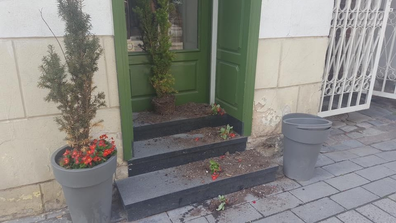 Kaunietė prašo pagalbos: padėkite surasti augalų niokotojus