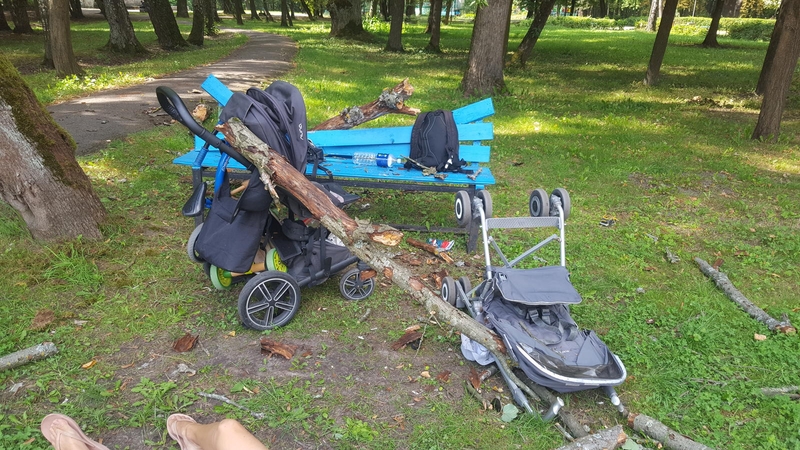 Per plauką nuo tragedijos: į Vytauto parko spąstus pateko šilainiškių šeima